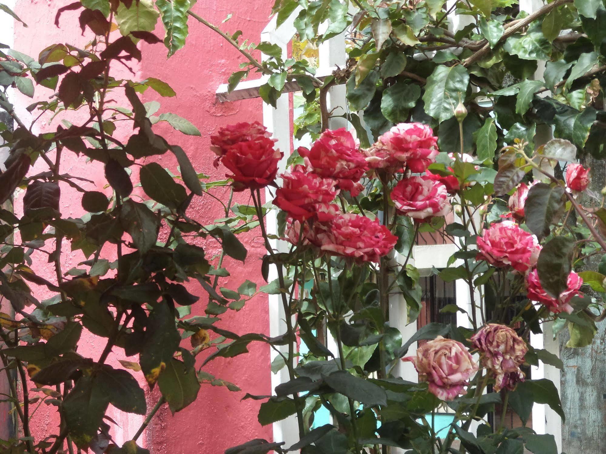 Hostal Imperial キト エクステリア 写真